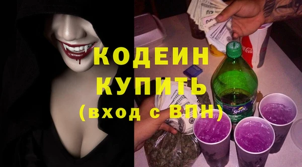 индика Володарск