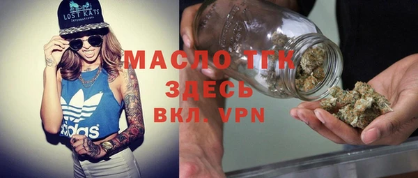 индика Володарск