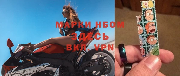 индика Володарск