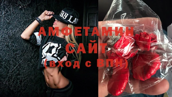 индика Володарск