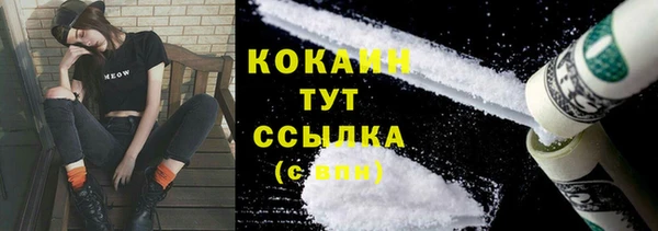 индика Володарск