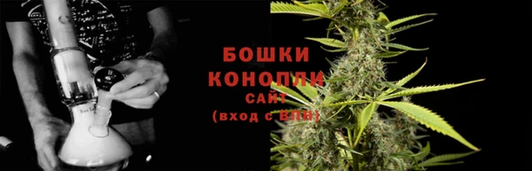 индика Володарск