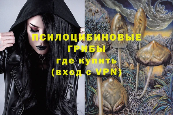 индика Володарск