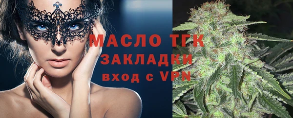 индика Володарск
