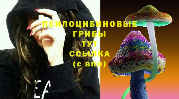 индика Володарск