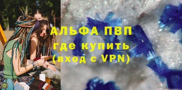 индика Володарск