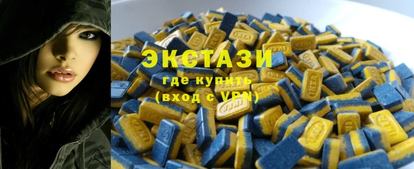 индика Володарск