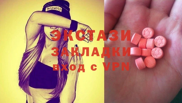 индика Володарск