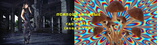 индика Володарск