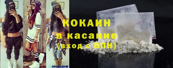 индика Володарск