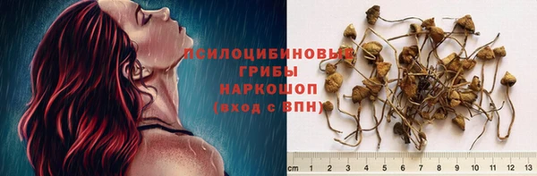 индика Володарск