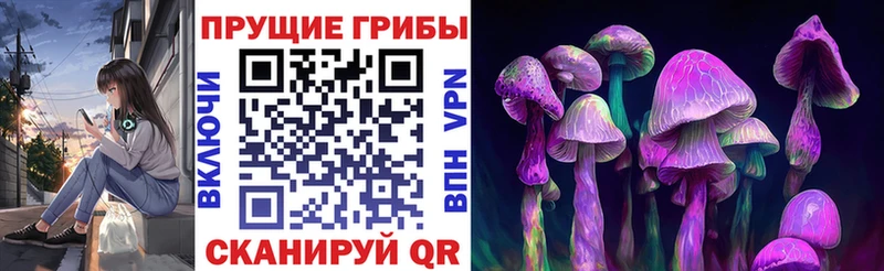 Галлюциногенные грибы MAGIC MUSHROOMS  Купить где  Малмыж 